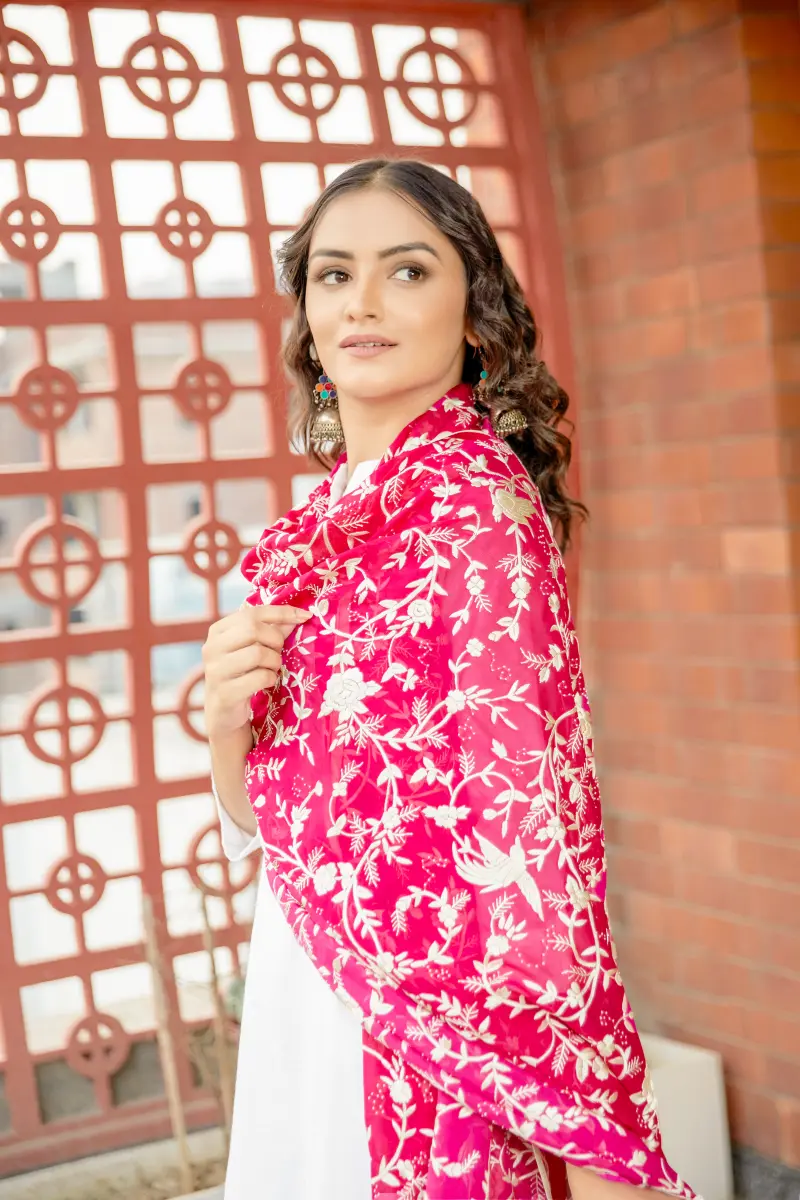 Basant - Image 4