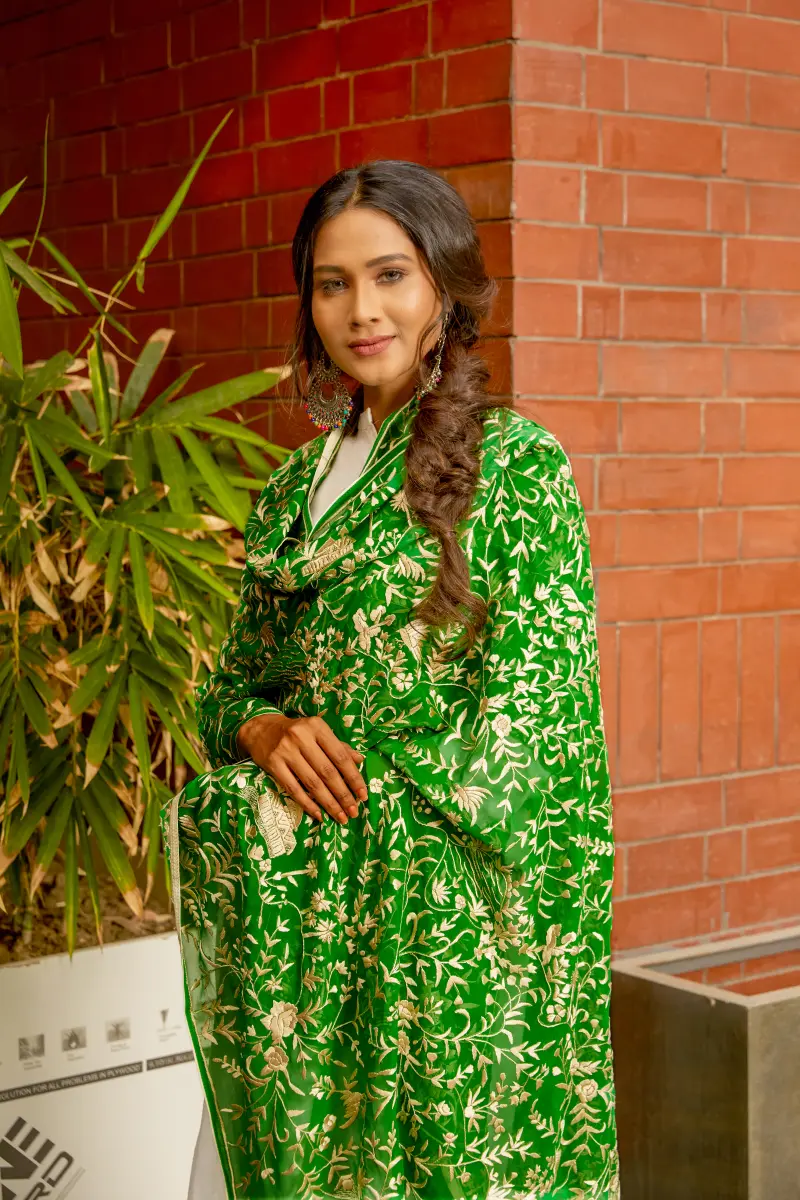 Ashmi - Image 3