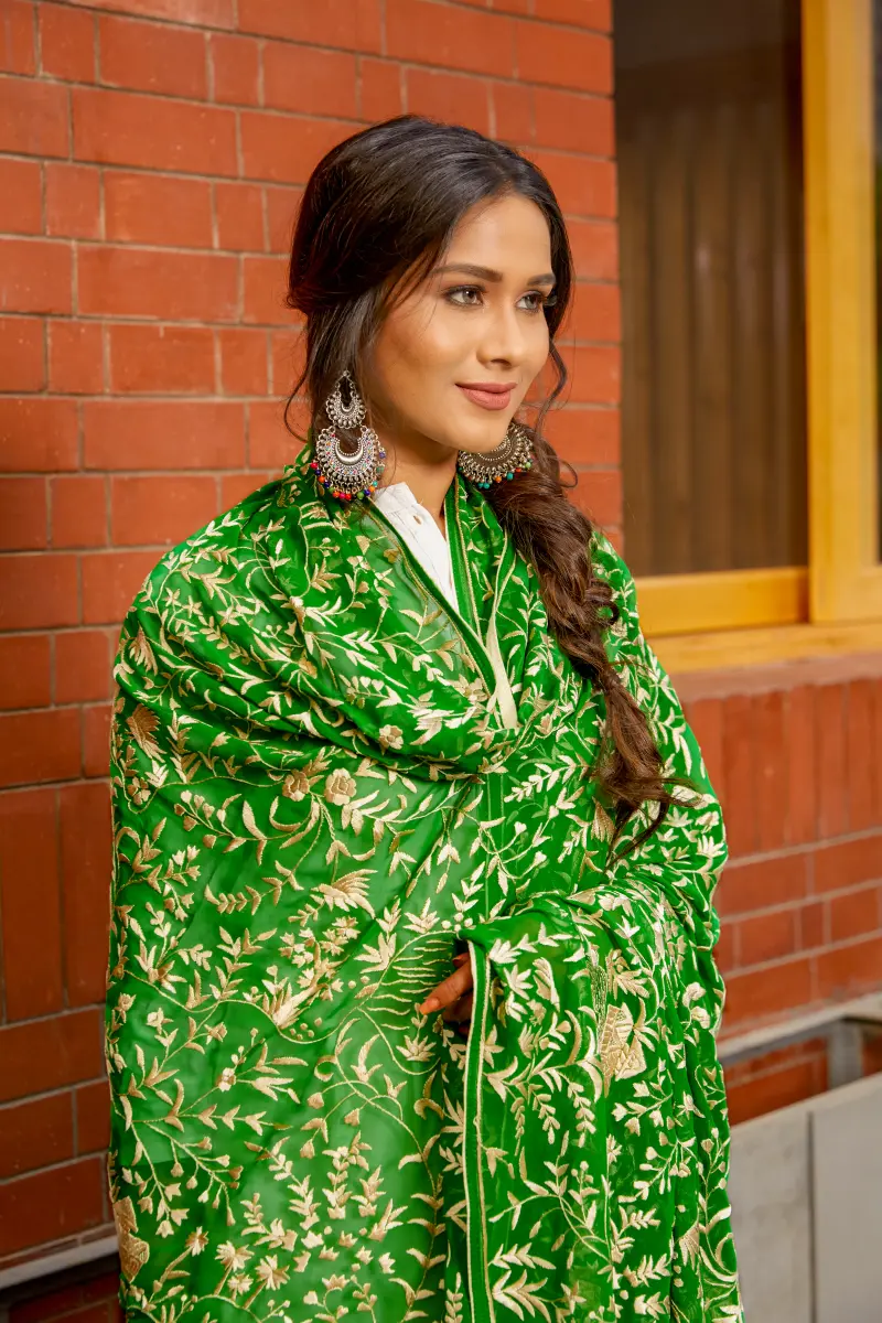 Ashmi - Image 4